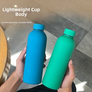 Insulated Stainless Steel Sport Water Bottle Large Capacity