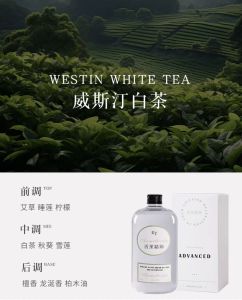 Large Capacity Aromatherapy Essential Oil for Automatic Spray Home Indoor Aromatherm Machine Bathroom Air Freshener