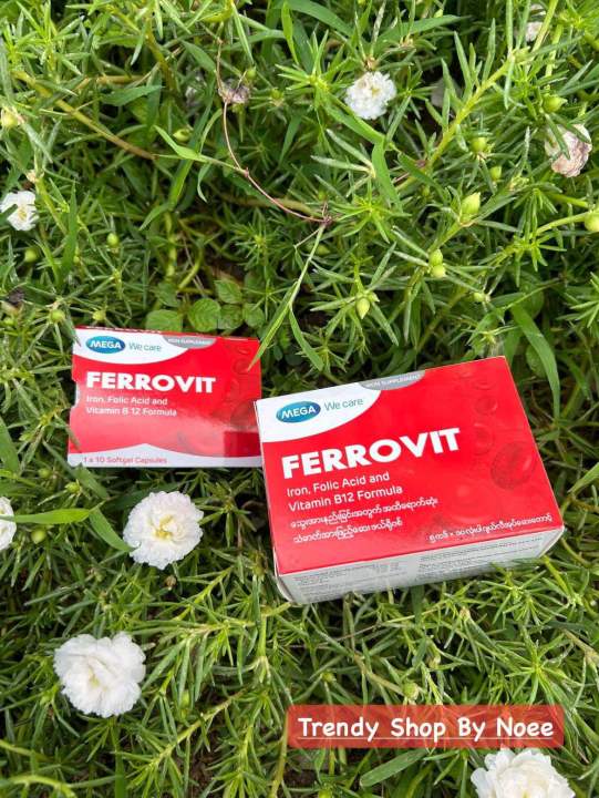 Ferrovit Iron Supplement