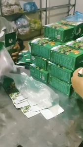 Trà Giảm Cân Trà Táo Mèo Túi Lọc Đánh Tan Mỡ BụngGiảm Béo Hiệu QuảNguyên Liệu Từ Thiên Nhiên