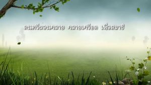 แฟลชไดร์ฟแท้ USB - MP3 ดนตรีบำบัดสำหรับผู้สูงอายุ สุขสงบ สบายใจ ลดภาวะซึมเศร้า 36 ชุด ฟังยาว 150 ชม.