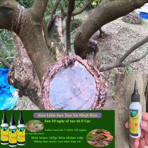 Keo Nhật chính hãng liền da liền sẹo cho cây tạo xù tao u nghệ thuật  ( 80gr)