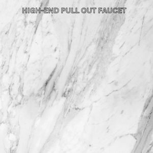 NUOMI STAINLESS HIGH-END PULL OUT FAUCET