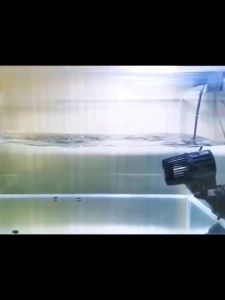 มทำคลื่นหรือเป่าตะกอน ขี้ปลาก้นตู้ เป่าขี้ปลาได้ HiDom พัดลมทำคลื่นตู้ปลา 1หัว/2หัว/4หัว รุ่น WM-401/WM-402/WM-404 ช่วยให้น้ำเกิดการหมุนเวียนของน้ำ ให้ดูเป็นธรรมชาติ