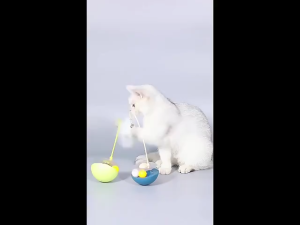 3 in 1 Cat Turntable Ball Toys Cat Feather Teaser Stick Bite-Resistant Wobbly Base With Catnip Ball