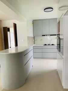Kitchen cabinet customize singapore local carpentry factory give you factory price help you save more!condo/HDB
