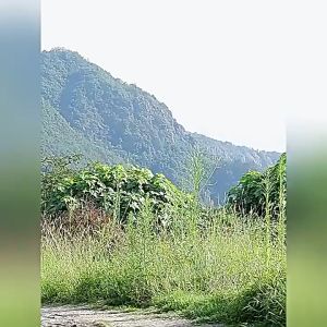 2 In 1 Bottle & Towel Buckle Clip with Hanging Carabiner Hook for Outdoor Activity Camping Bottle Clip