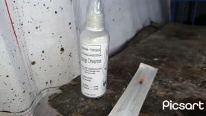 Kastigo Oral Dewormer for chicken and pigeons pamurga sa sisiw tandang inahin