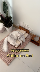 Puca Pet Shop ที่นอนน้องแมว เตียงนอนแมว ที่นอนน้องหมา เตียงนอนหมา เตียงไม้ญี่ปุ่นมินิมอล Cat bed Minimalist cat bed