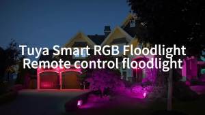 RGB Flood Light Waterproof IP66 Outdoor/Indoor Tuya APP/Remote Control 100W/50W Spotlight AC85V-220V Garden Party Deco Lighting