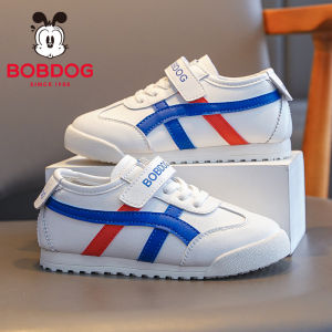 Bobdog | Boys Autumn Training Shoes