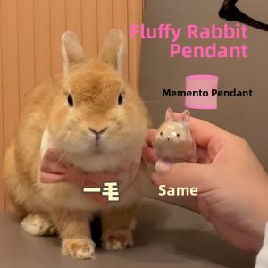 VOA | Pet Hair Collector Box Keychain Ornament