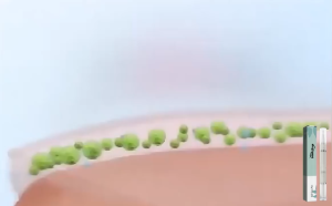Chăm sóc móng bút sửa móng tay móng chân tinh dầu tràm trà cho móng móng tay dưỡng móng tay dinh dưỡng móng tay vitamin E nha đam bút chăm sóc móng
