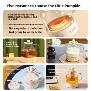 [China Plug Without Adapter] Multi-Function Health Pot for Home and Office