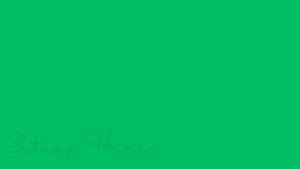 daun pandan segar organik tanpa pupuk kimia menurunkan kadar kolesterol