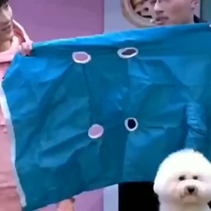 Túi trùm sấy khô lông cho Chó Mèo - Love Pets Shop