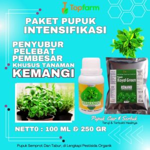 Pupuk Khusus Kemangi: Solusi Optimal untuk Pertumbuhan Tanaman Kemangi
