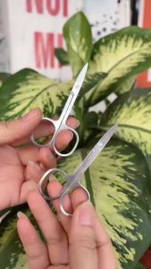 Kéo Cắt Mi Tỉa Lông Mày Kéo Cắt Mi Mini_Phụ Liệu Mi Hậu