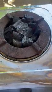 Charcoal stove with multispeed blower