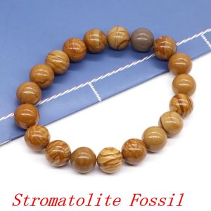 Natural Stone Beads Bracelet Amethyst Tiger Eye Crystal Quartz Red Agate Gem Bead Bangles Women Men Reiki Healling Jewelry Gifts