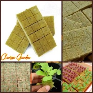 MEDIA TANAM ROCKWOLL IMPORT 18 KOTAK SIAP PAKAI MERK CULTILENE