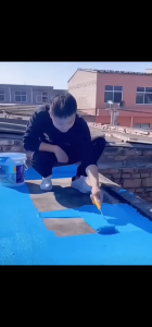 R2Y Super Waterproof Sealant Coating Roof Wall Pond Swimming Pool Bubong Plywood Wallpaper Free Brush