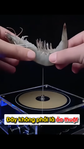 Sách STEM Thí Nghiệm Vui Nhộn