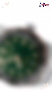 🔥NEW🔥[100% Original] ORIS Divers Sixty‑Five 01 733 7707 4357-07 8 20 18 Men Watch