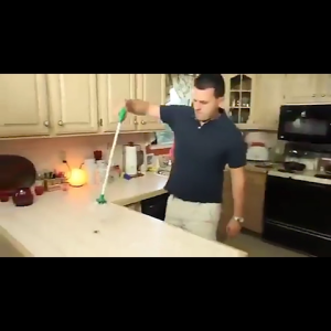 Marino Home ที่จับแมลง เครื่องจับแมลง แปรงดักจับแมลง แบบด้ามยาว No.Y719