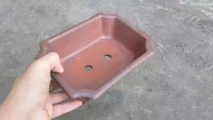 Chậu bonsai mini để bàn dáng chữ nhật vát góc men đất nung cực đẹp kích thước 19x14cm cao 6cm