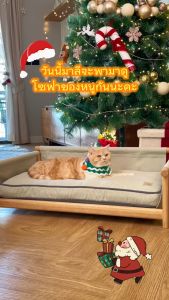 Barketek Pet Sofa รุ่น Comfy โซฟาสำหรับสัตว์เลี้ยง โซฟาหมา โซฟาแมว