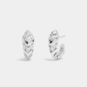 Luxury Snake Design Earrings