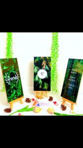 Hiasan Dinding Quote Aesthetic Apolito (15x30 cm)