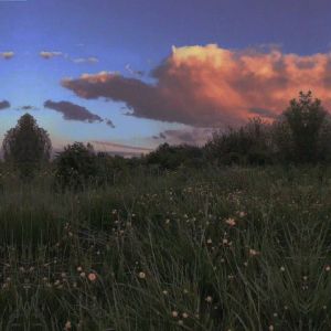 1Kg Epsom Salt for gardening  Magnesium Sulfate  Sulphate  High Purity Water Soluble  MGS  MgSO4  MgO Garam Epsom (Magnesium Sulfate)