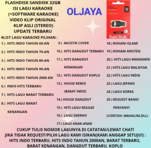 flashdisk Sandisk 32GB isi lagu karaoke
