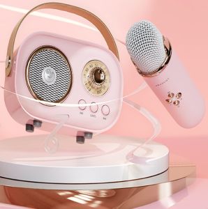 C20 Plus Karaoke Portable Wireless Bluetooth V5.0 Speaker support FM Radio & TF Card with Wireless Microphone High Quality