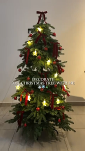 Christmas Tree Mini Christmas Tree 35cm/55cm/ 80cm/ 150cm Home Christmas Tree Decoration FREE LED Light