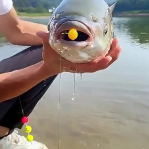 50 Viên Mồi Mềm TPE 8mm Vị Ngô Ngọt Đàn Hồi Cao Dùng Câu Cá Chép Câu Biển Sông Hồ Bãi Biển