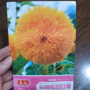 Hạt giống hoa hướng dương xù Hướng Dương Kép gói 30 hạt HƯỚNG DƯƠNG GẤU BÔNG Hoang My food and beauty