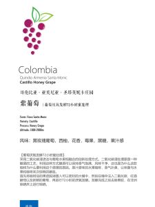 Columbia Purple Grape Specialty Coffee Beans Light Roast Grains Flavor Acidity Sweetness Bag Packaging for Various Brewing