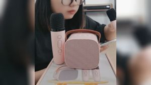 P2 Mini Portable Wireless Bluetooth Karaoke Audio Speaker 6W Dual Wireless Microphone Rechargeable 2000mAh Battery Mini Speaker