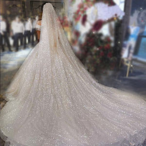 Ultra-Long Bridal Head Veil with 5-meter Tail Champagne Color and Starry Sky Design Retro Fairy-Like Luxury for Wedding Gowns