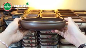 Pot Keramik Bonsai Oval Lonjong Kecil Small Mame Mini