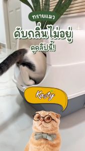 [40ลิตร] Kasty ทรายแมวเต้าหู้ ถั่วลันเตา ทรายแมวเต้าหู้ ธรรมชาติ100% ปราศจากน้ำหอมและสารเคมี ไร้ฝุ่น