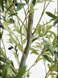 [OLIVE TREE & EUCALYPTUS] Artificial Potted Tree / Potted Plant / Indoor Plant for Decor / Home Decor / Decoration Plant / Potted Indoor Plant / Indoor Tree / Interior Design
