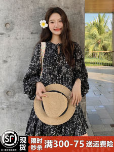 French Style Floral Print Loose Dress Womens Spring Autumn 2025 New Elegant Sweet Doll Skirt Black Color Charming A-Line Gown