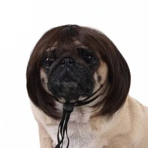 Pet Wig Dog Wig Pet Supplies Halloween Pet Accessories Curly Hair Straight Hair Cat Wig It Can Be DIY Trimmed