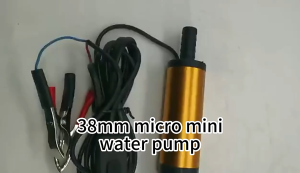 38mm DC 12V Water Oil Diesel Fuel Transfer Pump Submersible Pumps Car Camping Bottom Removable