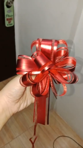 Edepot Pull Bows Ribbon for DIY Craft Gift Wrapping/Christmas Bows/Hooding Party Decoration and Gift