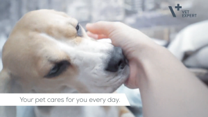 Vet Expert UrinoVet Cat Dilution 45 pcs Twist Off Capsules